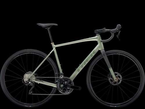 Domane