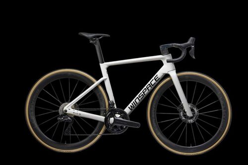 SLC5 DURA-ACE Di2完成車 