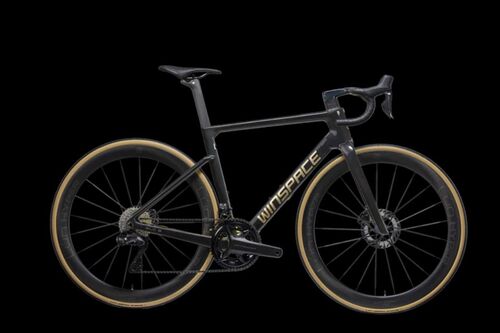 WINSPACE SLC5 DURA-ACE Di2完成車 