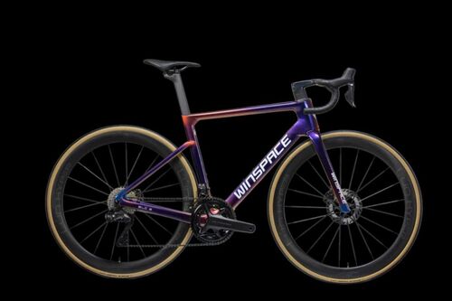 WINSPACE SLC5 DURA-ACE Di2完成車 