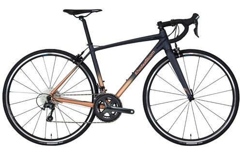 KHODAABLOOM FARNA SL1