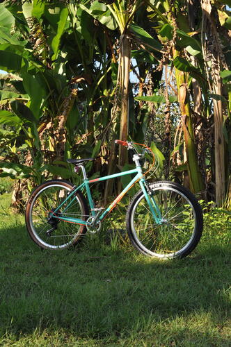 CRUST BIKES GEARED WOMBAT