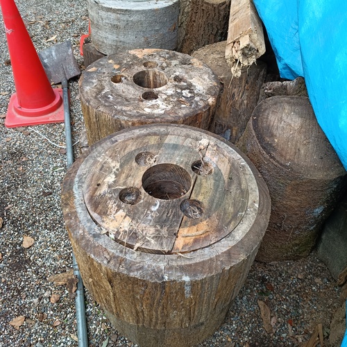 さて、何でしょう？