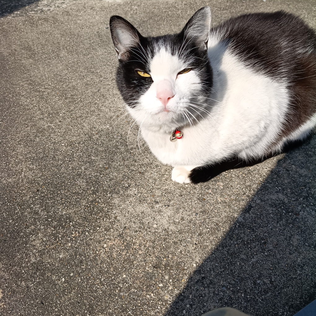 そんな瞳で見られたら♪