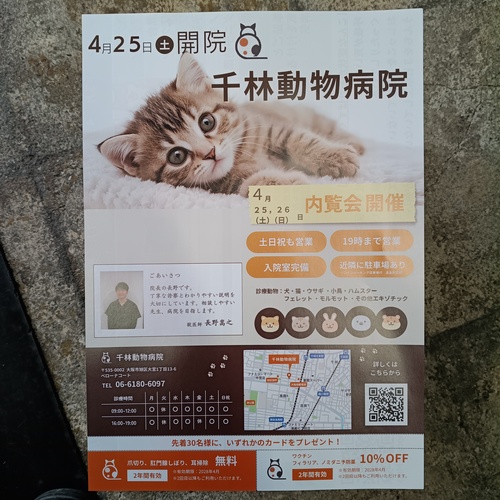 大阪市旭区大宮の動物病院  千林動物病院