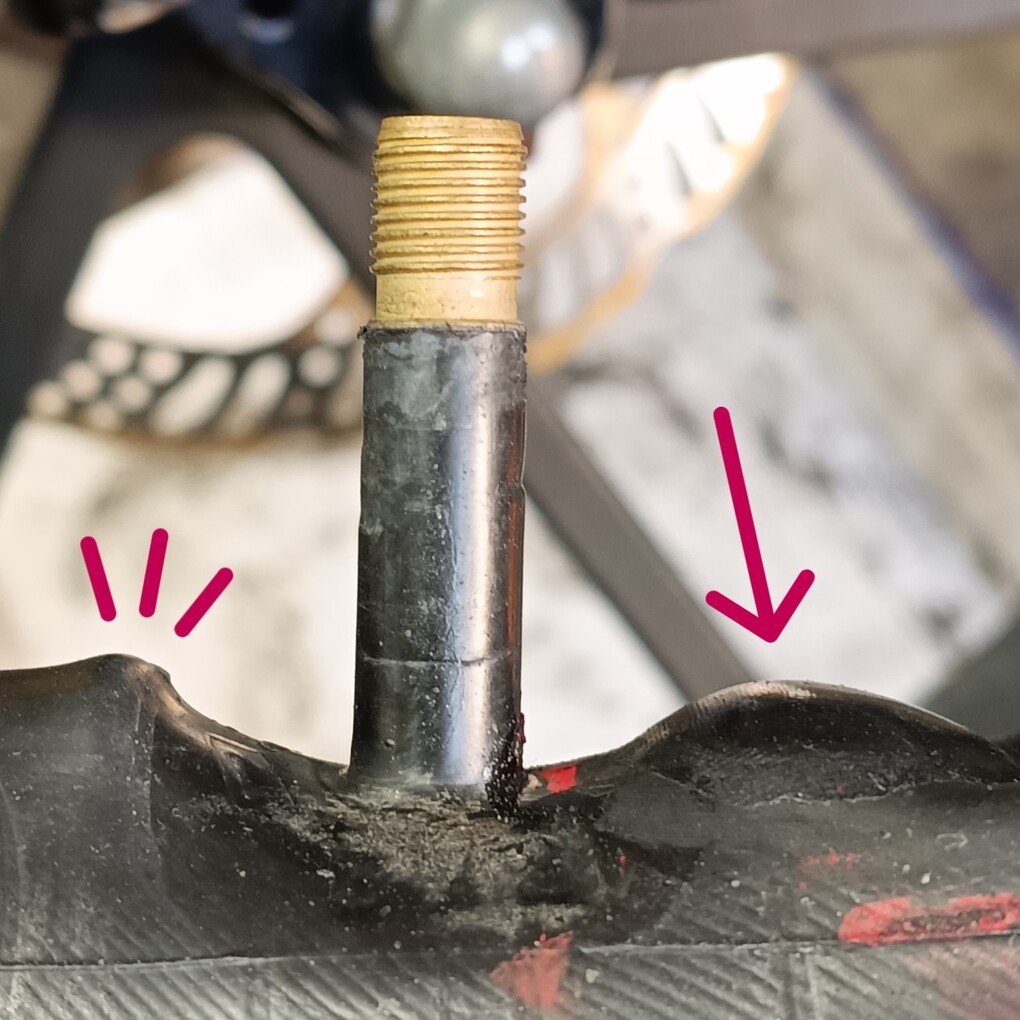 パンクはパンクでも