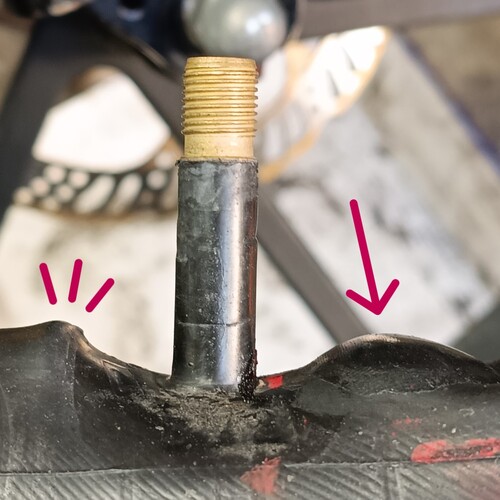 パンクはパンクでも