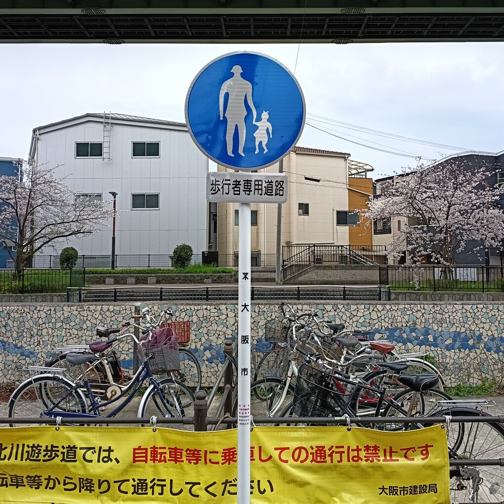 城北川(旧:城北運河)沿いの遊歩道