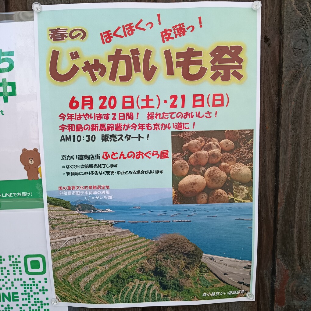 本日!宇和島の採れたて新じゃが 祭り