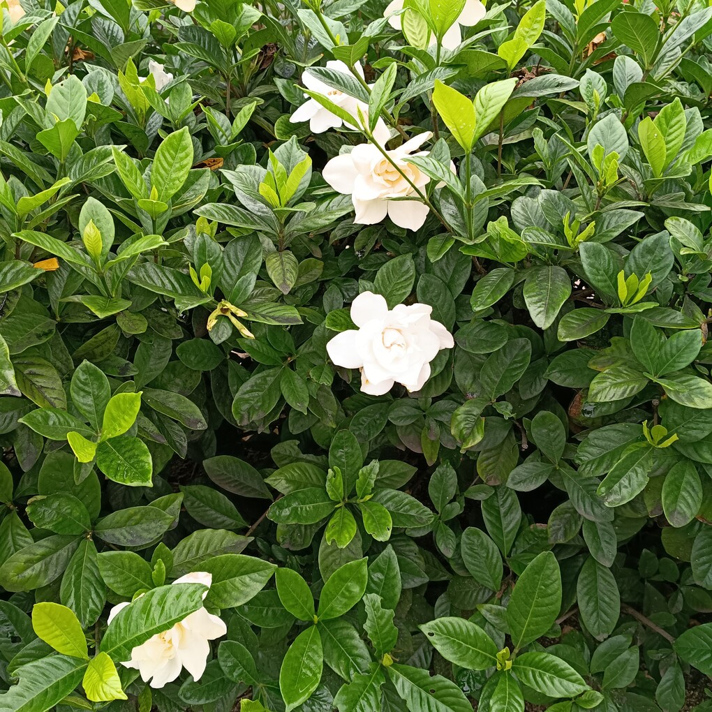 今では