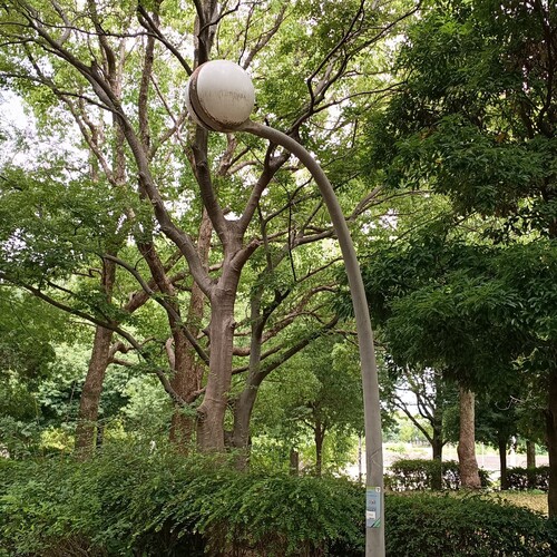 意匠って言いたいだけ