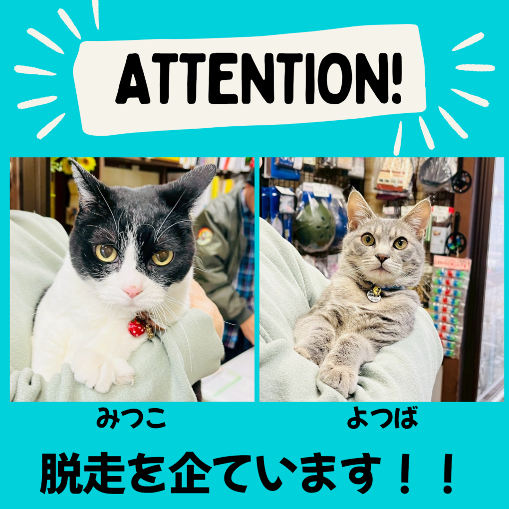 北海道の自転車店 有限会社 酒井自転車商会のショップ外観４